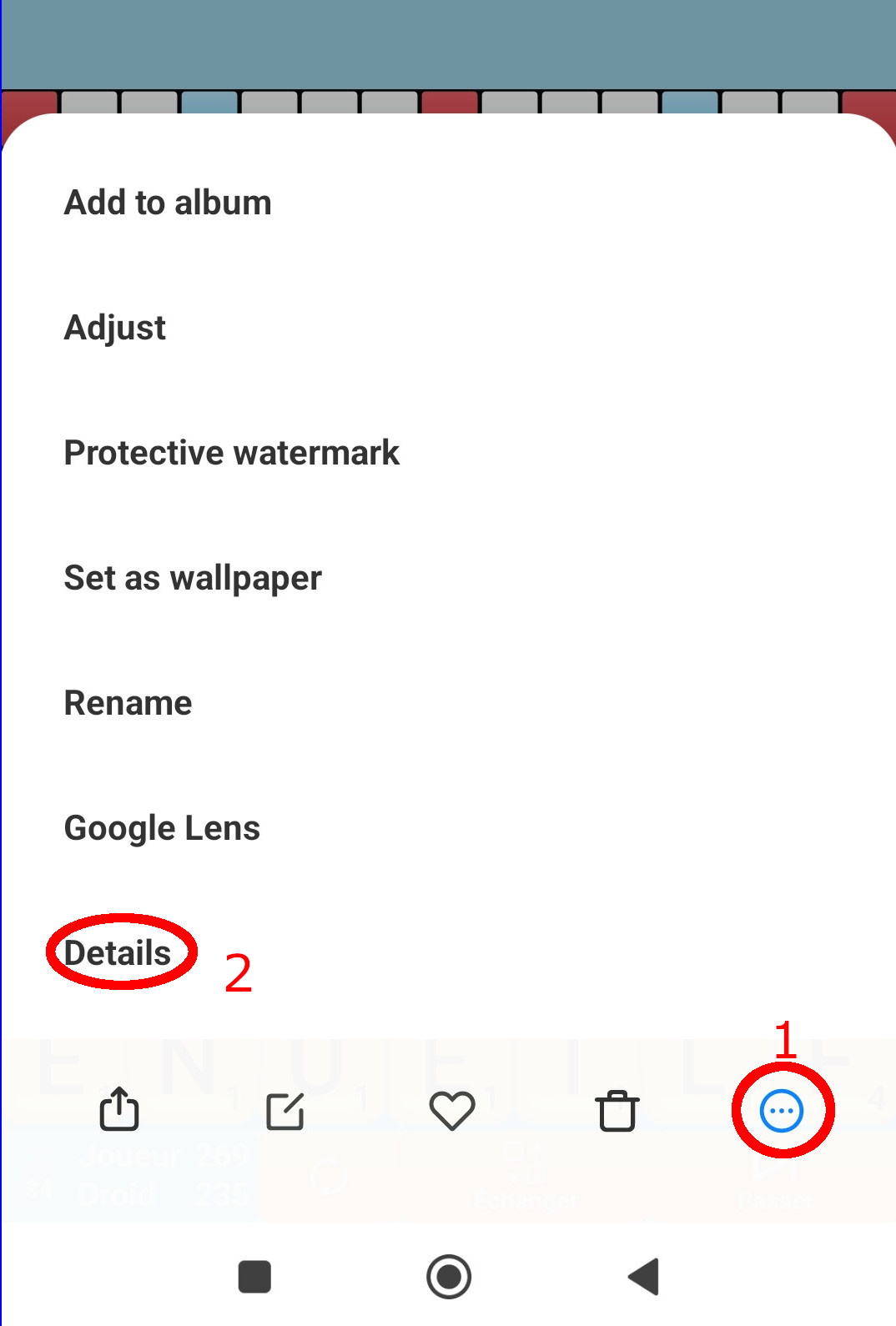 In the gallery, open the three-dot menu and choose Details.