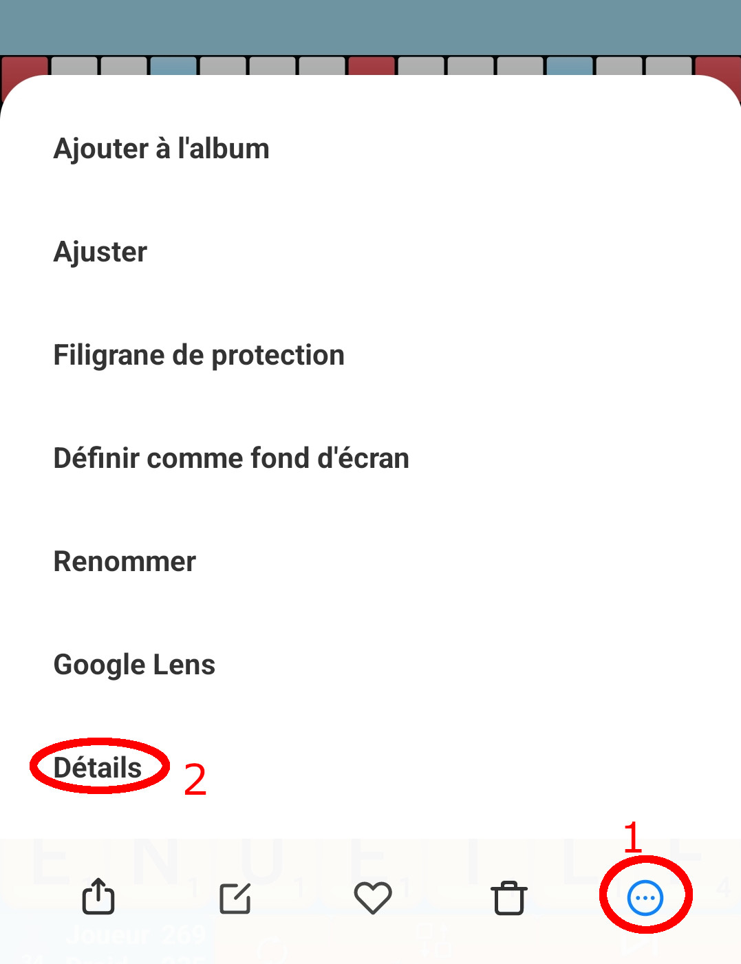 Dans la galerie, ouvrez le menu à trois points puis choisissez Détails.